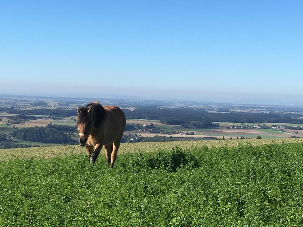 Hochhubergut Villa Aschach an der Steyr Kültér fotó